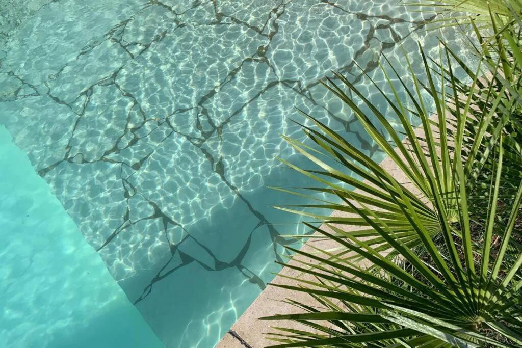 Villa Des Oliviers Avec Piscine Chassagny Экстерьер фото