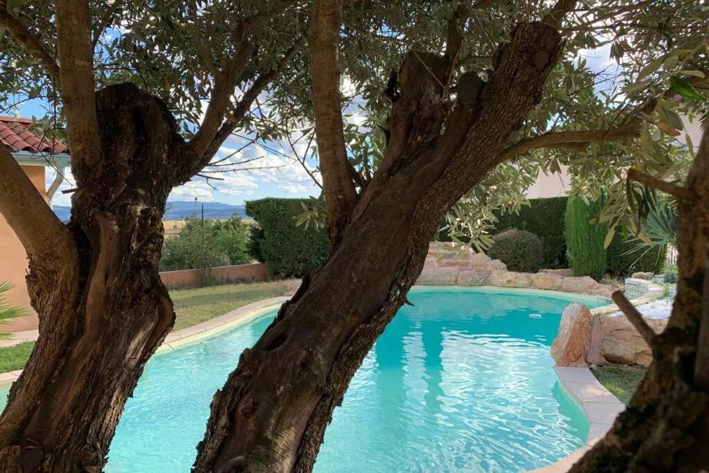 Villa Des Oliviers Avec Piscine Chassagny Экстерьер фото